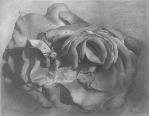 chernov_15